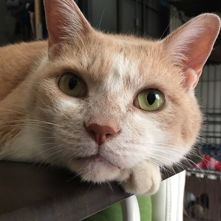 Cd29a2e8 c774 4b81 a1cb 63629b639ad0