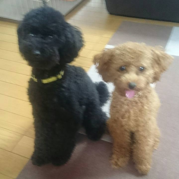 Cd29e86a b75d 49c4 a25f c752ed09206d