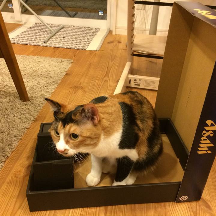 Cd29ec92 5fc2 4fb5 ae93 d6d9b5dce022