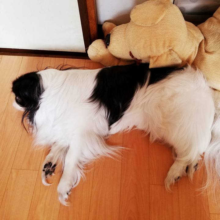 Cd2a8305 de2c 4bf1 a589 4c48334a495e