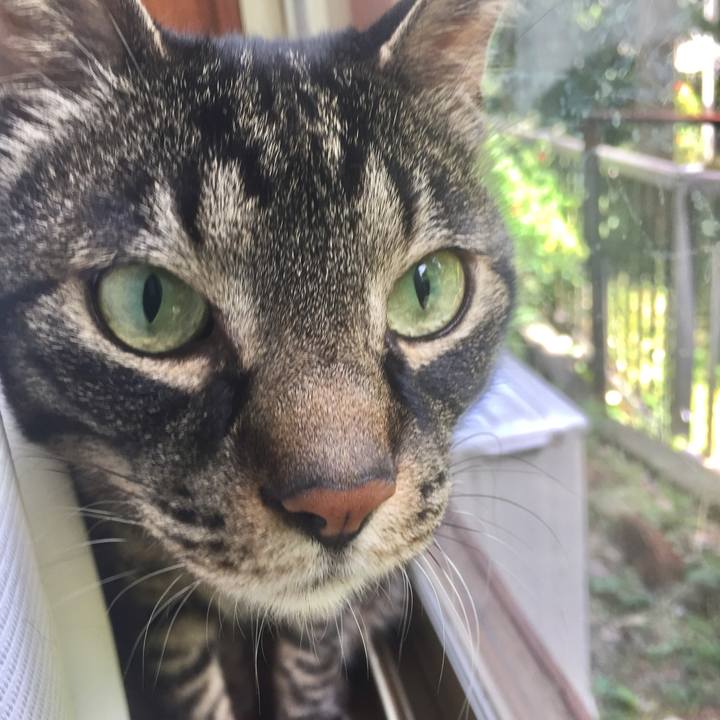 Cd2a8e2d 2eb8 42c1 acdd 5b9121ea9bca