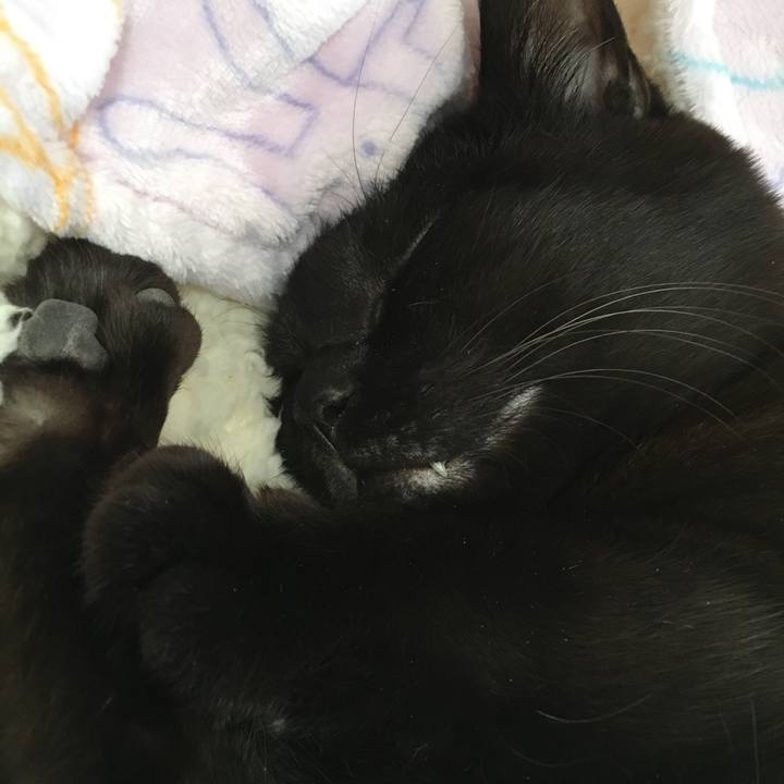 Cd2bf0b1 8d09 4c42 a092 a8024587c6dc