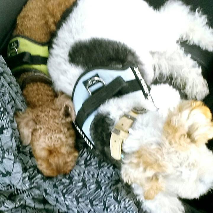 Cd2c147c 48d2 4f4f 82ca 565d6052309d