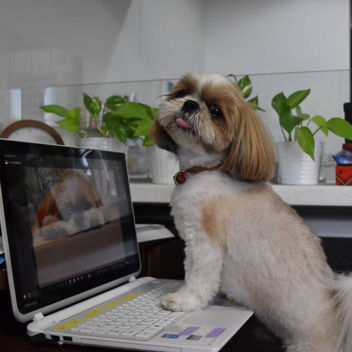 Cd2c263f f850 4d3c badb cbb8677b9e32