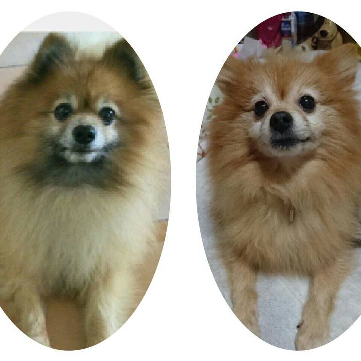 Cd2c59ba a604 4f80 9327 273a2ded3388