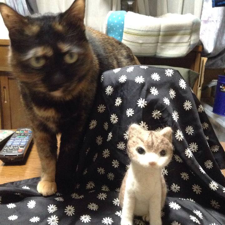 Cd2c7b19 395b 422b b419 3436a4961382