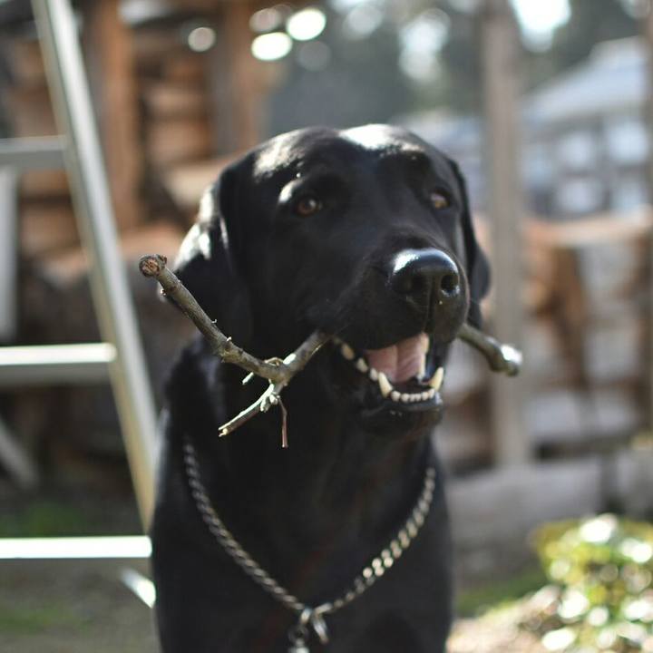 Cd2cdd30 8981 4191 bd3f 3aae619e4e2f