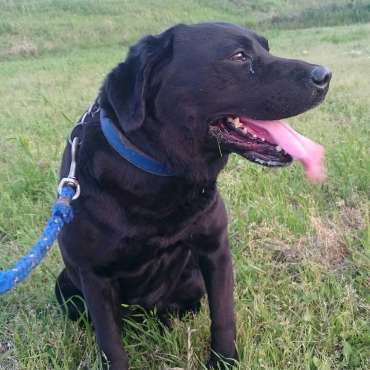 Cd2d5853 e0e4 4e2b 91a8 789fe7c5571e