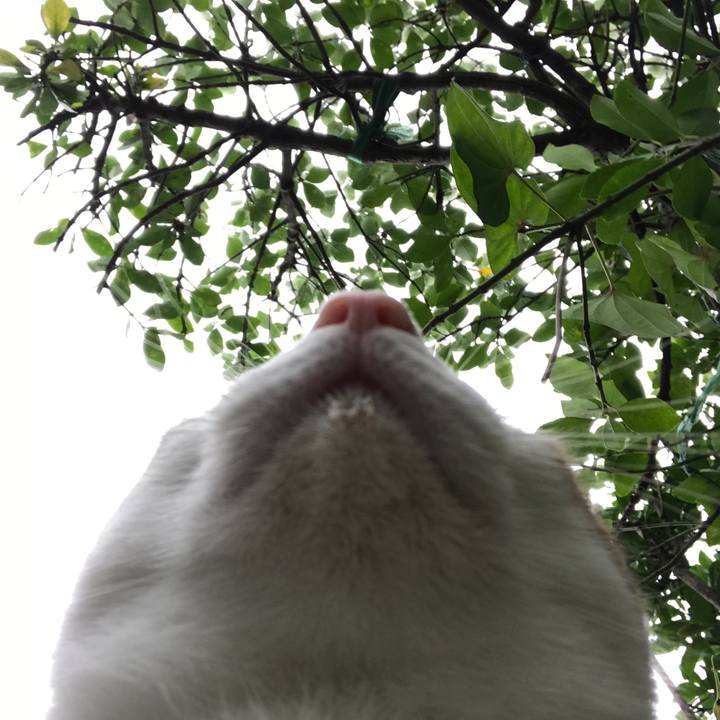 Cd2d89f1 5871 4837 803c f7ddeab1e9e9