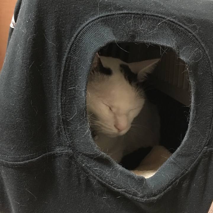 Cd2d9848 e29c 4ee0 a67d 8e9024936e69