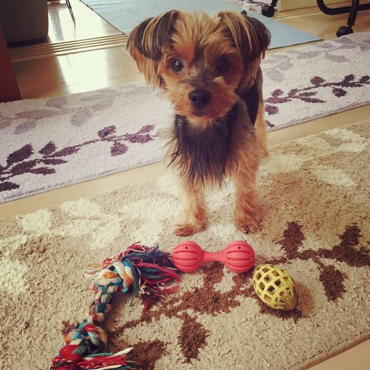 Cd2db72d bb80 493c 8cab 895fecc26c09