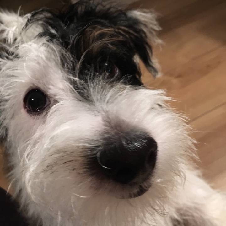 Cd2dbf43 fcc1 43f2 b87a daa4a6b7cbcd