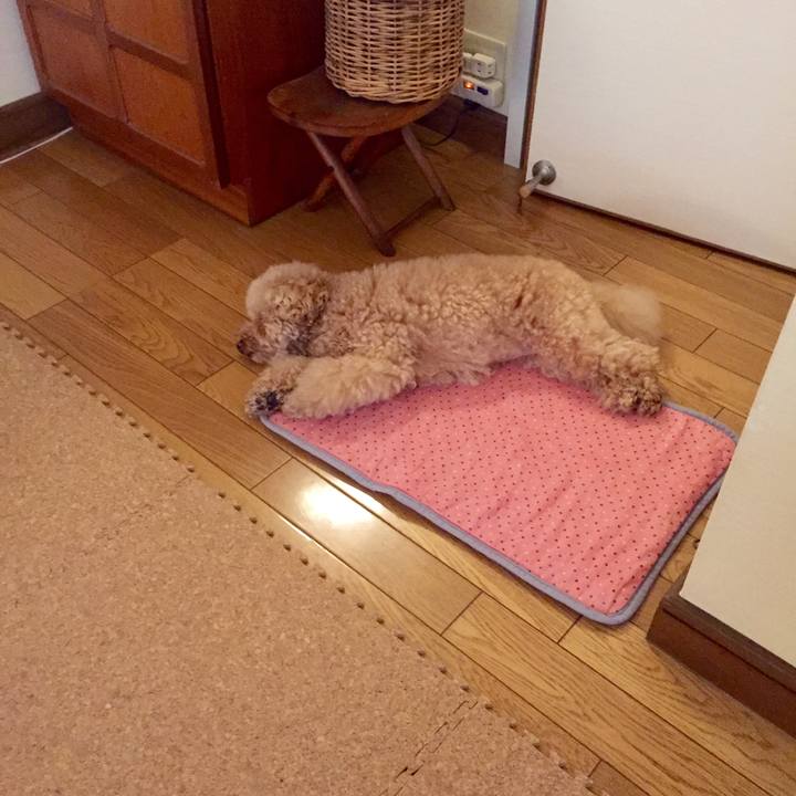 Cd2e006c d560 42dc 9b75 d6f7936b941b