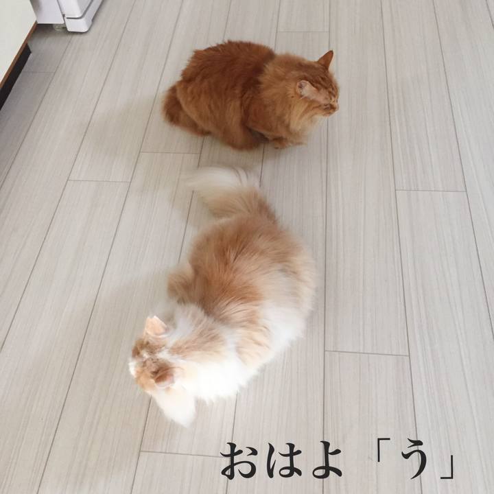 Cd2e51cf adce 4210 b7a6 b3f30544a2e1