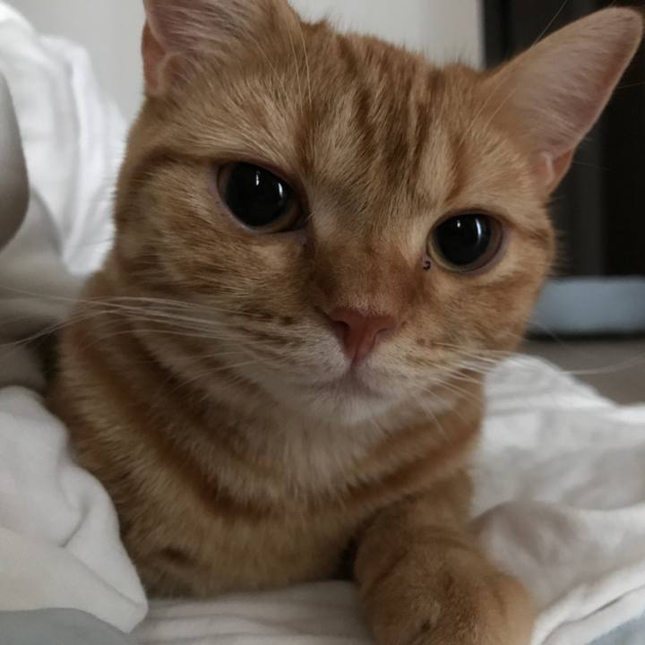 Cd2e7b4c 6069 4f8f be4f 4e1614f5ef11