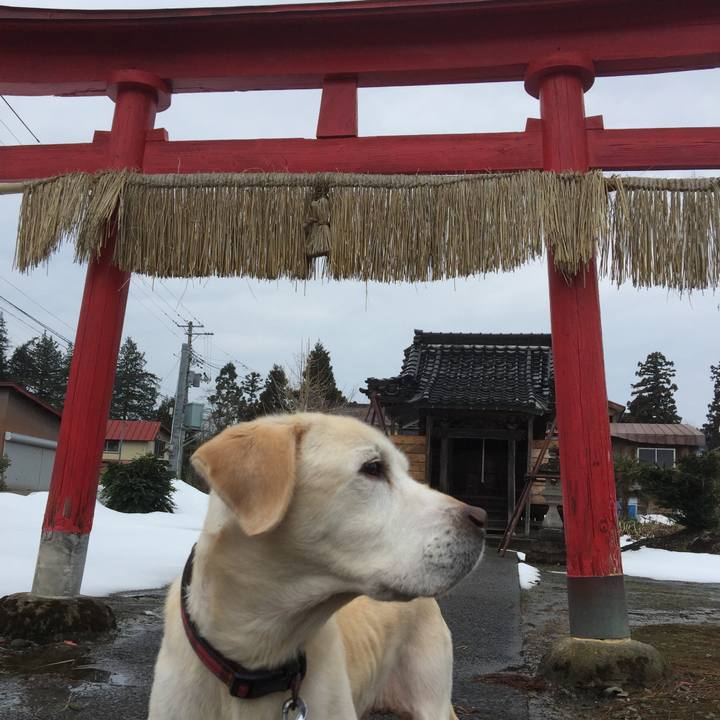 Cd2ee819 7036 4ffb 92f4 4a71b62c7643