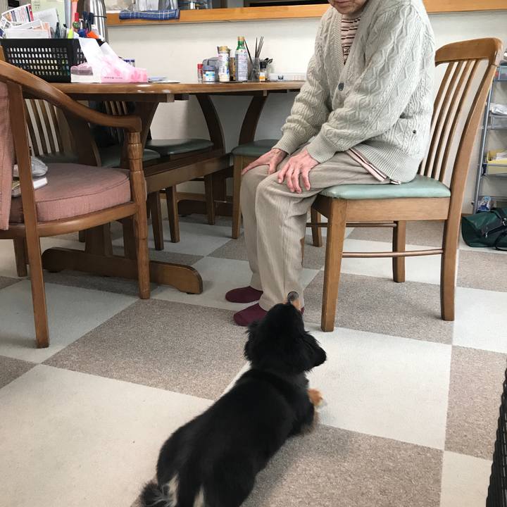 Cd2eefda 4563 4a32 b819 63210d1b8e20