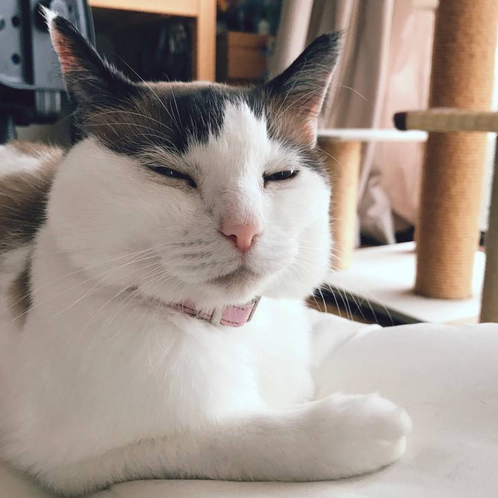 Cd2f4bab e8fa 4ffa 86c8 a24529d94a4a