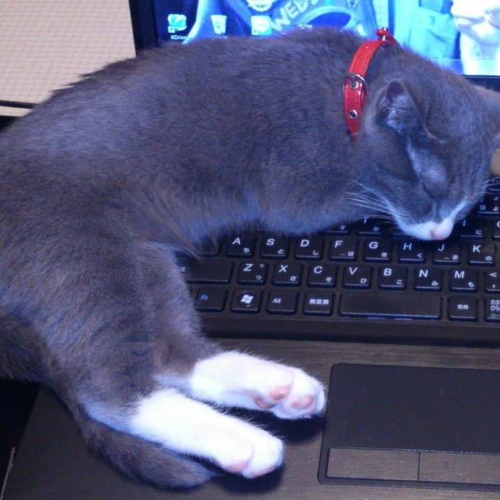 Cd2f6450 cc1b 407b b1e6 5f70e730ffd2