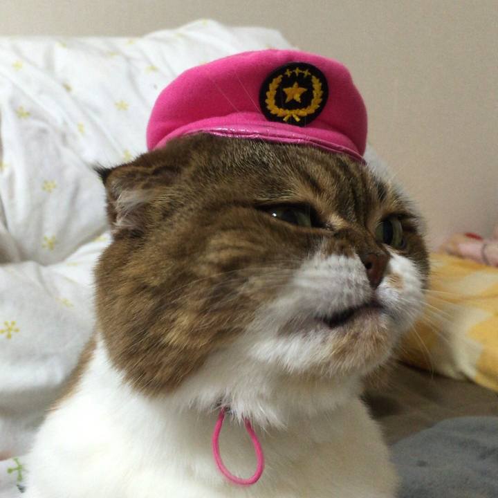 Cd2ff029 5375 4229 9aa1 745c80f9e633