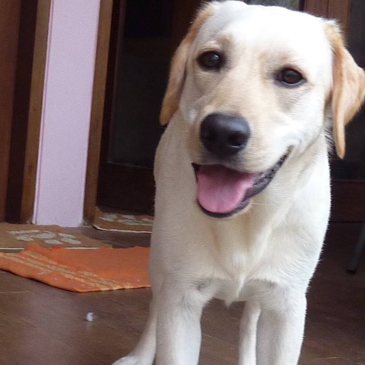 Cd2ff872 2359 40f6 9336 e4cc0d4ac0da