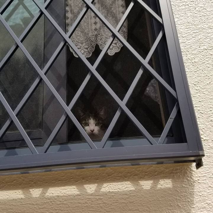 Cd3021bd 3a1b 4b3c b605 8ba9d2cd3f58