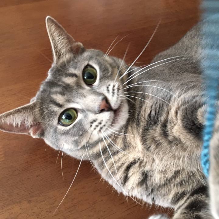 Cd307a7c 9b4c 48d9 80eb f6b9f84f4e5a