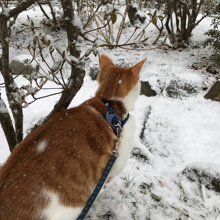 Cd31b154 4713 4306 b5c9 115277c53709