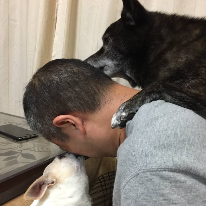 Cd322ddb cccd 47fe 9694 8352158e9ee5