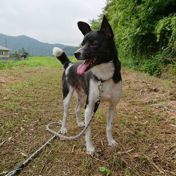 Cd32b5fc d7d9 467c a89b e556858d6f0d