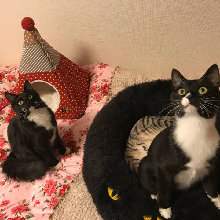 Cd3347b2 3356 4e39 807c 5729d28263b8