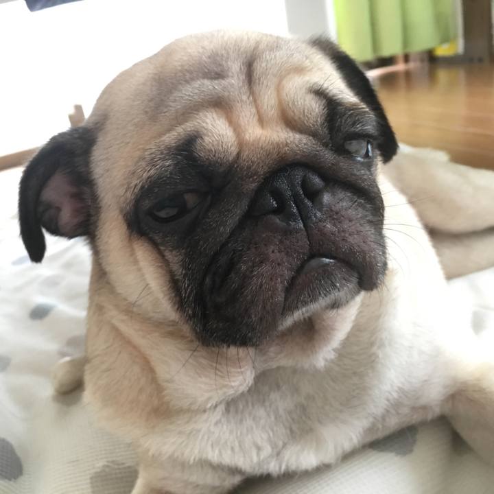 Cd3357f8 fc5b 421d 8615 29369d240519