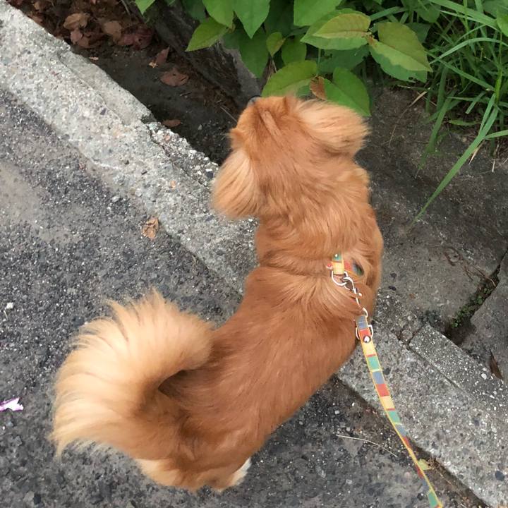 Cd336470 460b 4d69 be41 ed386c729bb2