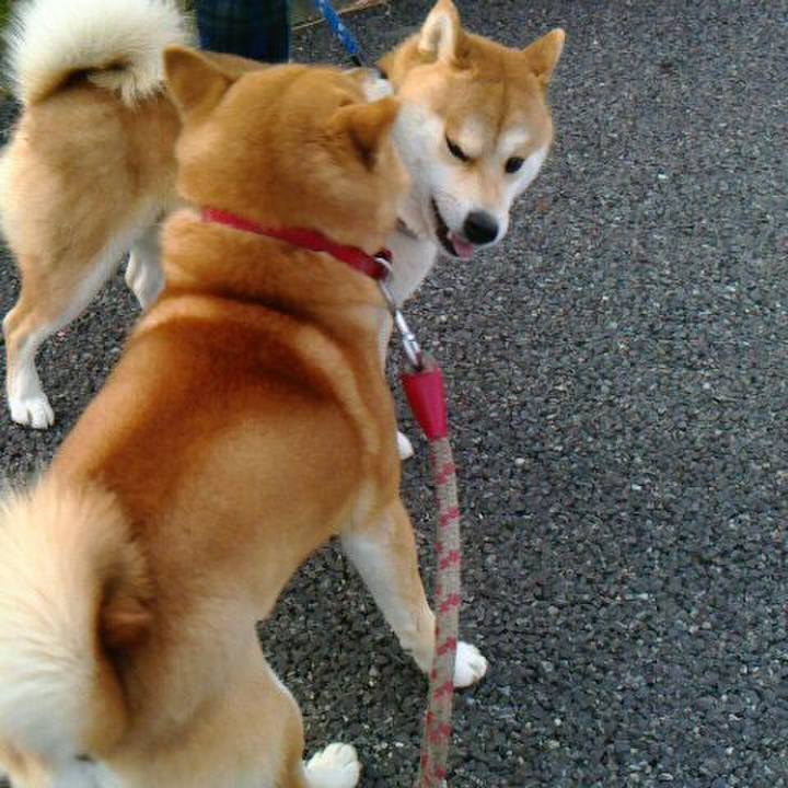 Cd341f4a 3110 467b 81ee 7ce513802c65