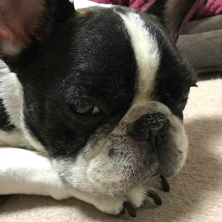 Cd342ba6 aa33 4f02 8a24 a9a46bfd3d6d