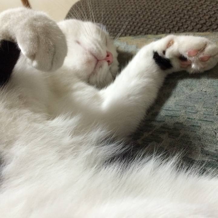 Cd343143 b6be 4f18 b03a ae35bfb1833a