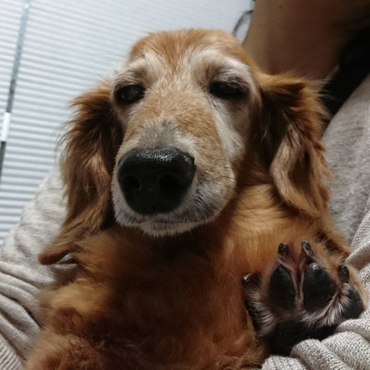 Cd346e3b 8fc8 43cd 8bdc 619ede1265cd