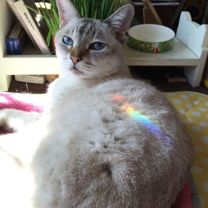 Cd34cc38 b362 4859 984c 388d1dec74e8