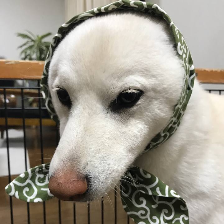 Cd34d693 9695 40a6 beb1 a9d201c50801