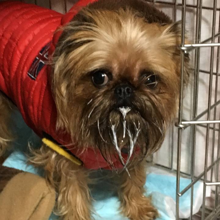 Cd34eb80 9700 4719 82d3 6b9c56392147