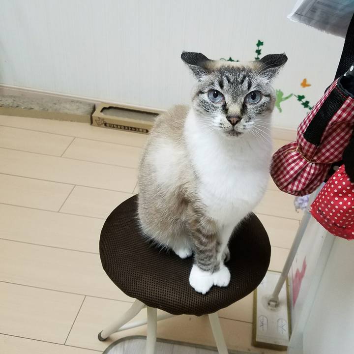 Cd34f963 86bc 495c b9b0 c041203dff8d