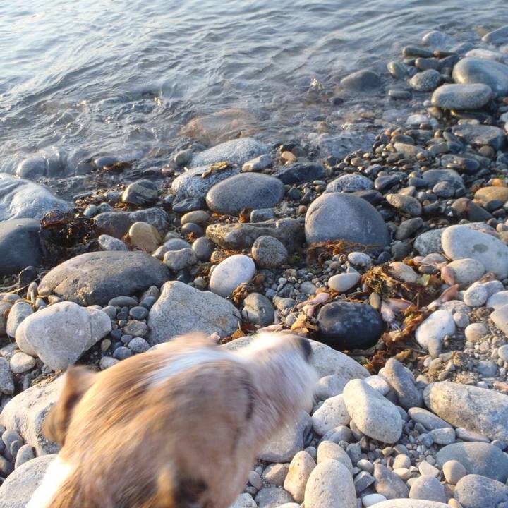 Cd37128c be55 41c9 a24c 0326a2a380fb