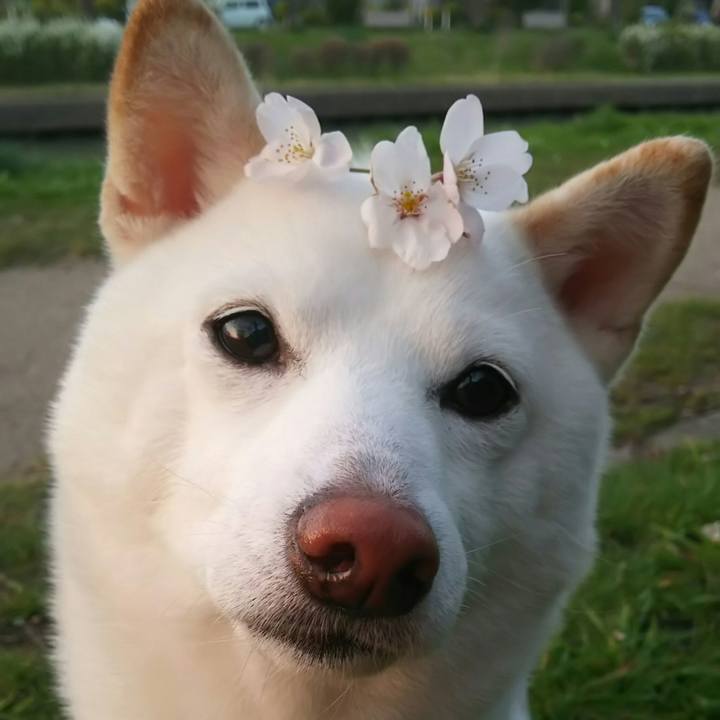 Cd3729be 9013 4972 afb0 1b7b75920001