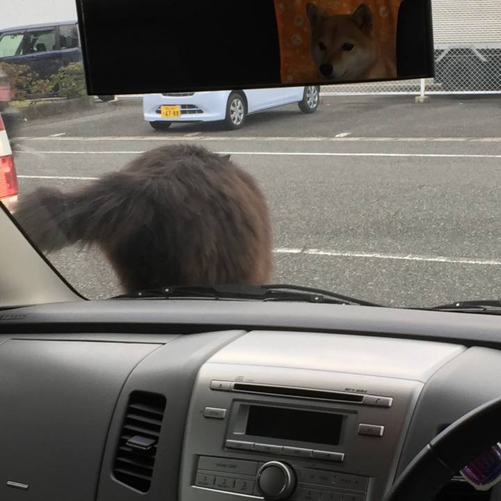 Cd37a700 3622 41cf 8fad 32dce6e26632