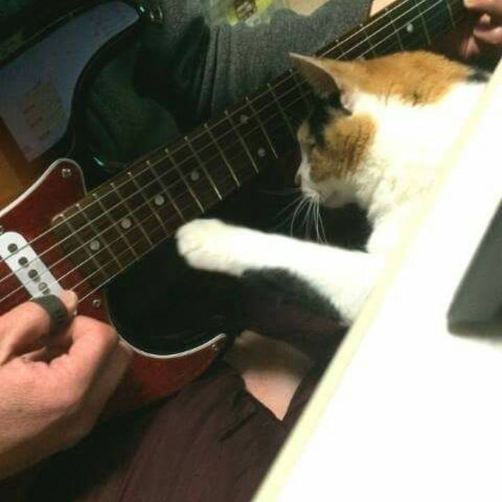 Cd37c8dd 9818 4aab ad55 96034e124b8f