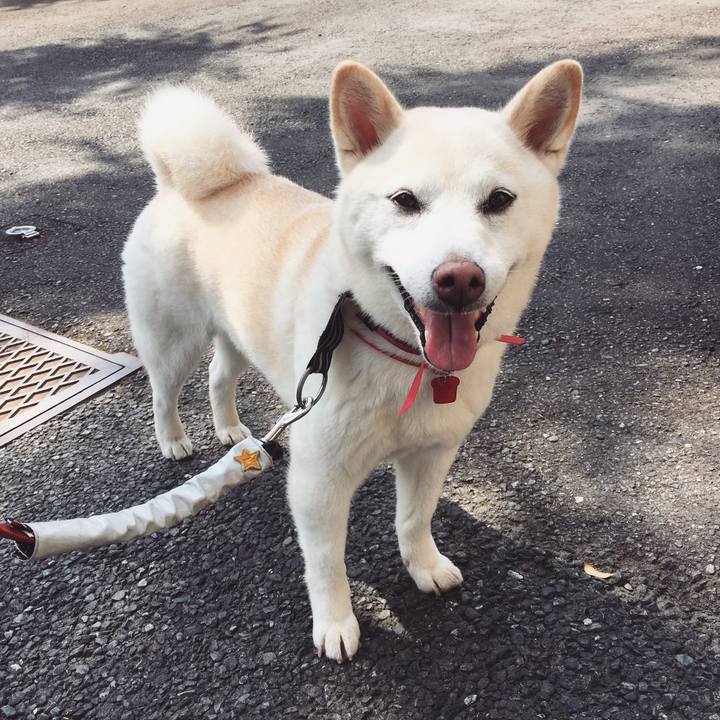 Cd384307 f55b 4da9 9429 e0538f33844b