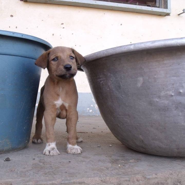 Cd3870c2 4ead 4ffe a7cf 356f2693a040