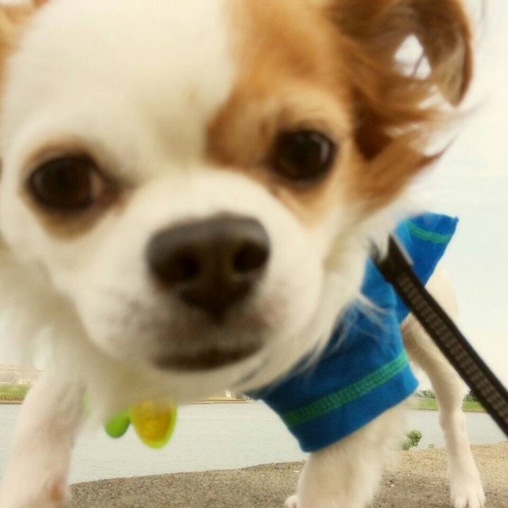 Cd38a395 4746 4dea 9e20 ec6d2b6ef4b6