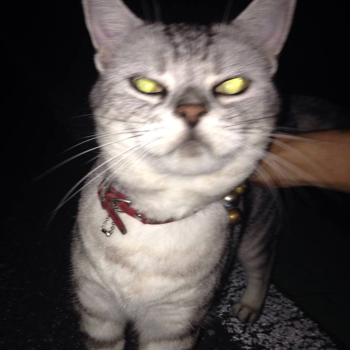 Cd38d28b 23bd 4522 a54a 4012431ecffe