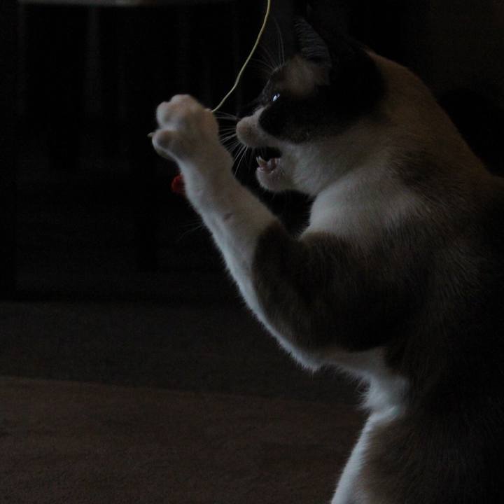 Cd3982d0 af33 41b2 8bec e997e08eaeaa